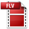 Flash video icon